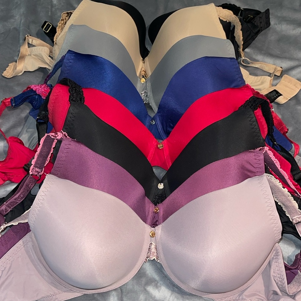Natori Bra Bundle